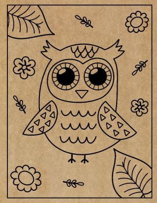 Owl Engraved Canvas