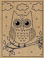 Owl Engraved Canvas