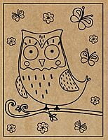 Owl Engraved Canvas