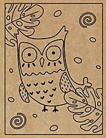 Owl Engraved Canvas