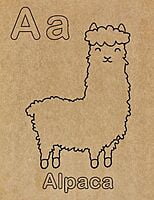 Preschool Alphabet Engraved Canvas